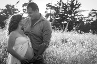 Nora Yerena Maternity 4-16