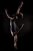 dawsondancesf website selection